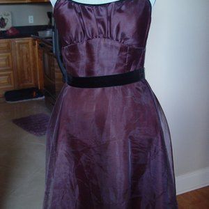 Women Dress Junior NWT Retail 79.99, brown, size 11